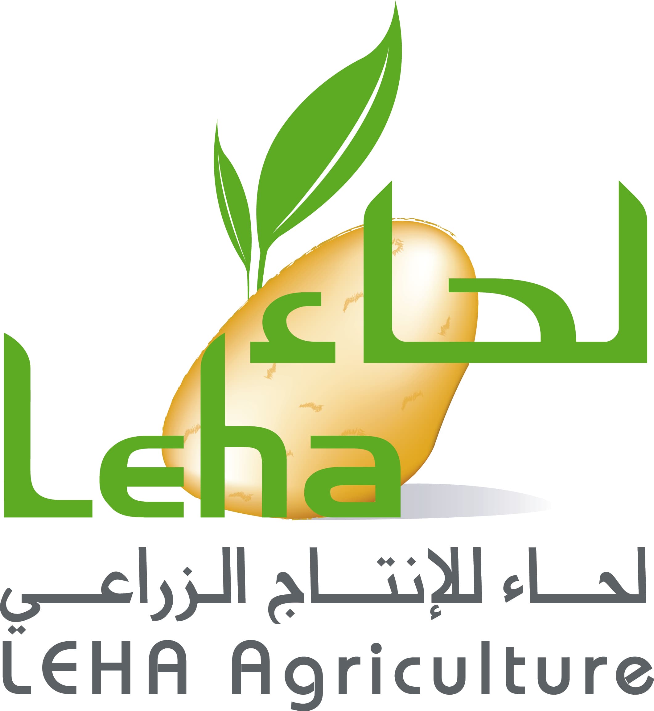 شركة لحاء